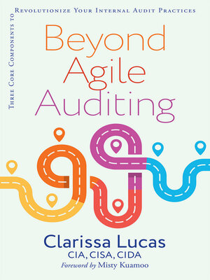 cover image of Beyond Agile Auditing